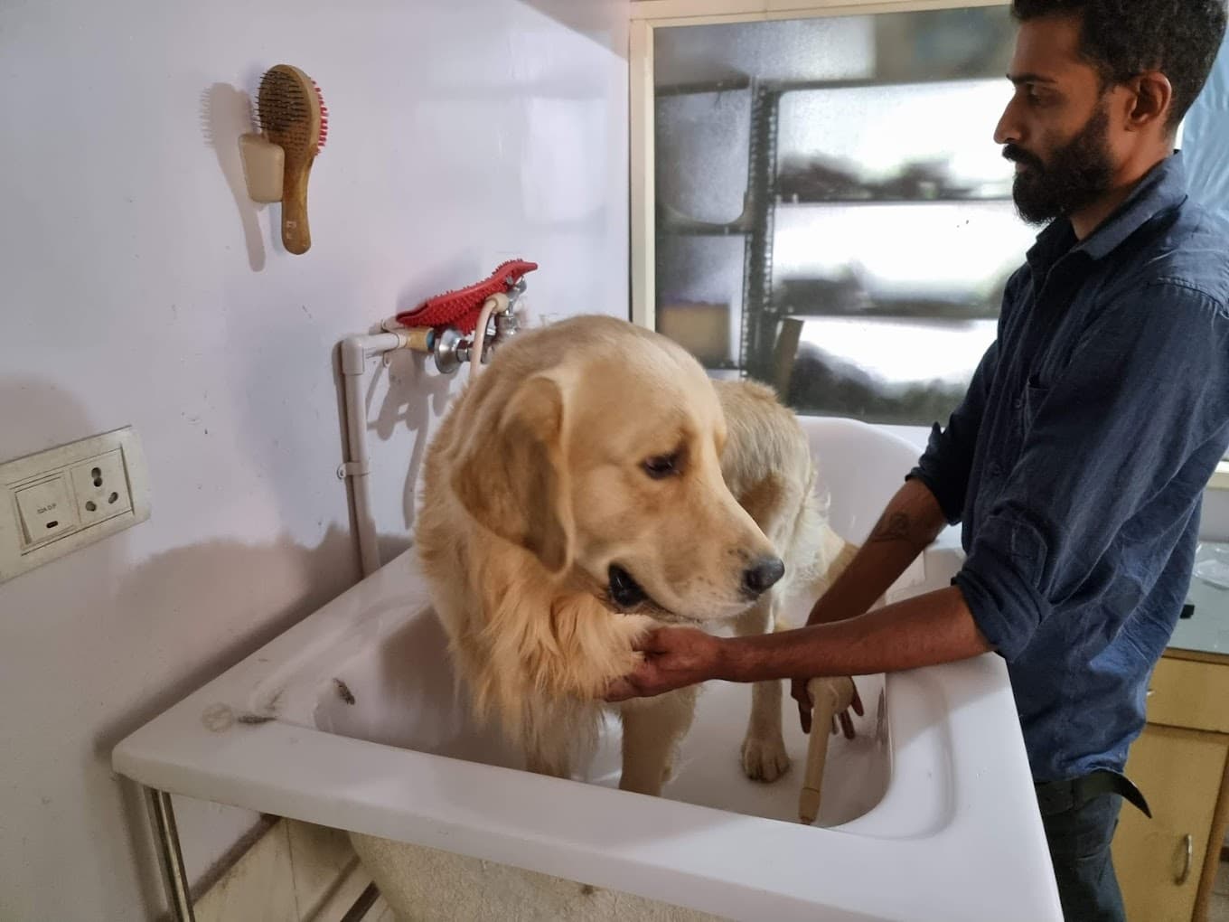 My Pet Hospital - Dr. Arun CS