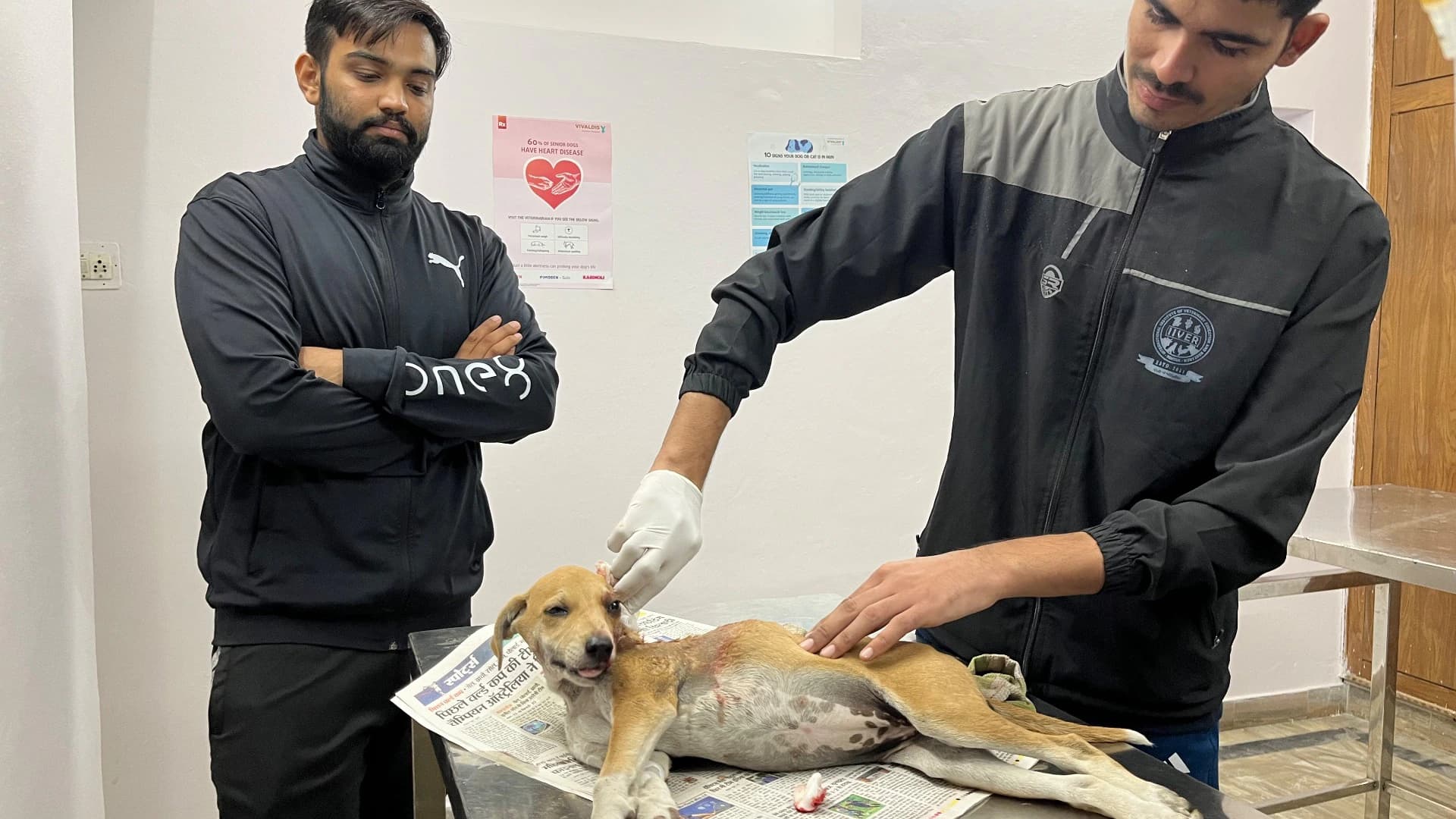 Phoenix Pet Hospital