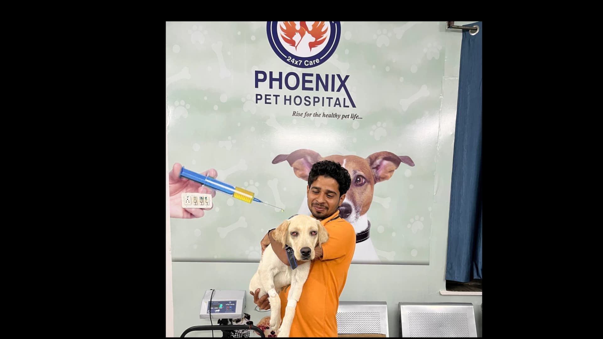 Phoenix Pet Hospital