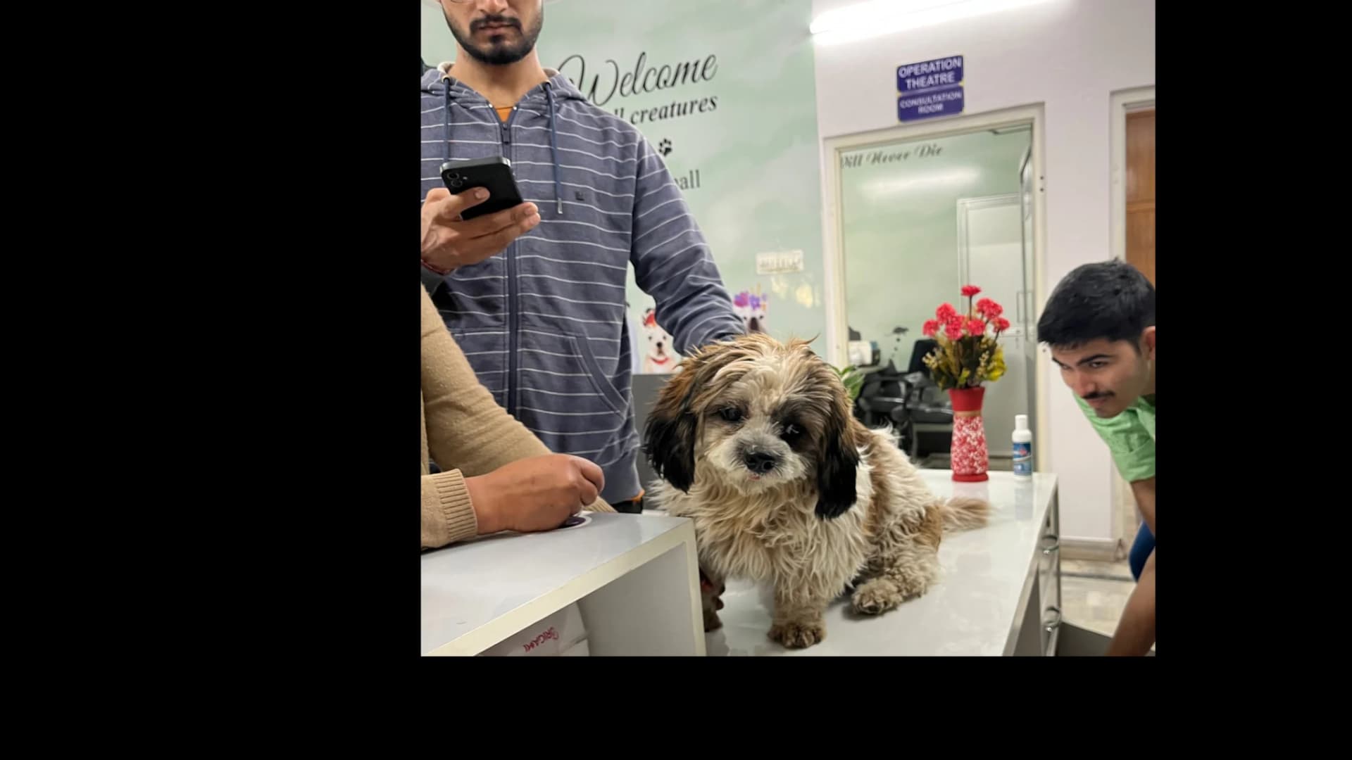 Phoenix Pet Hospital