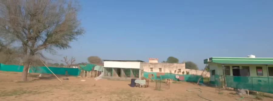 Jaipur Animal Welfare Association