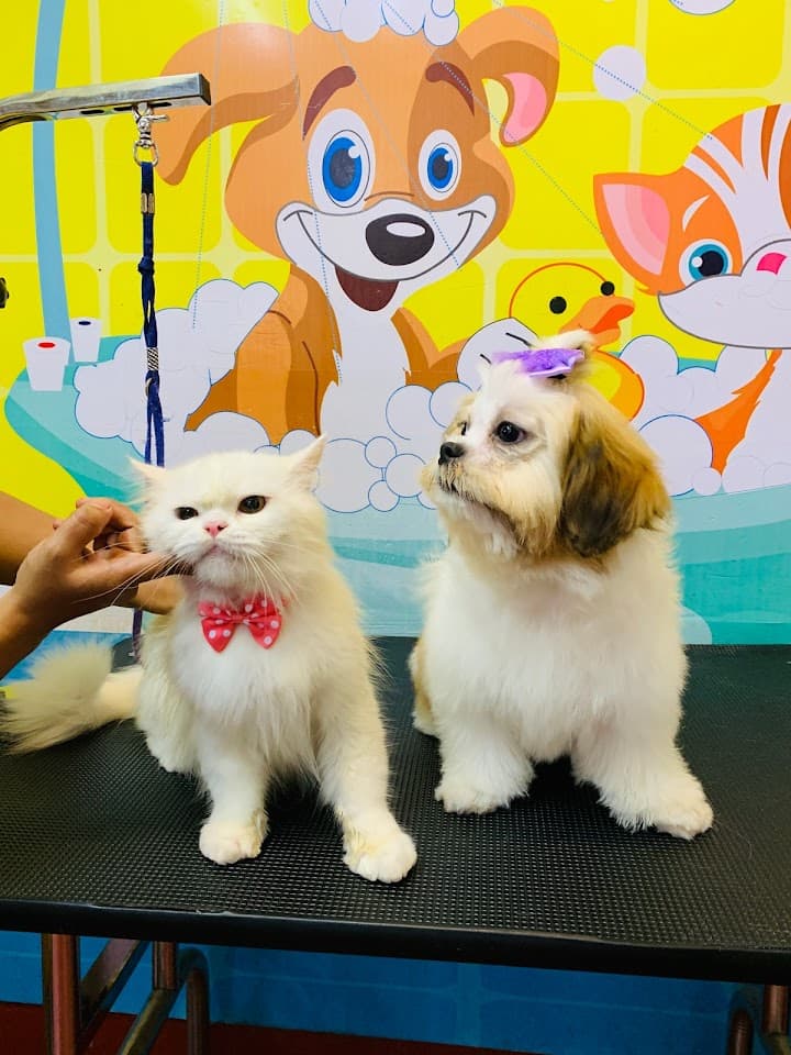 Bubbles PetSpa