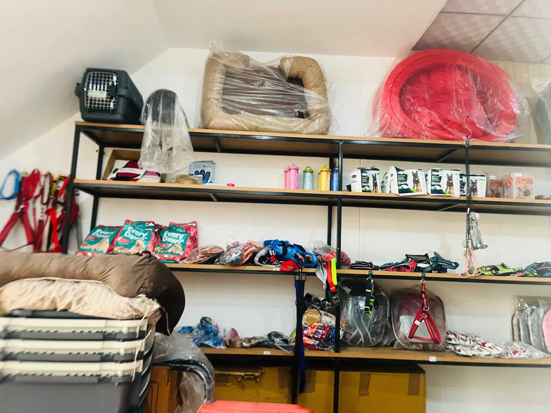 Pet Care Multispeciality