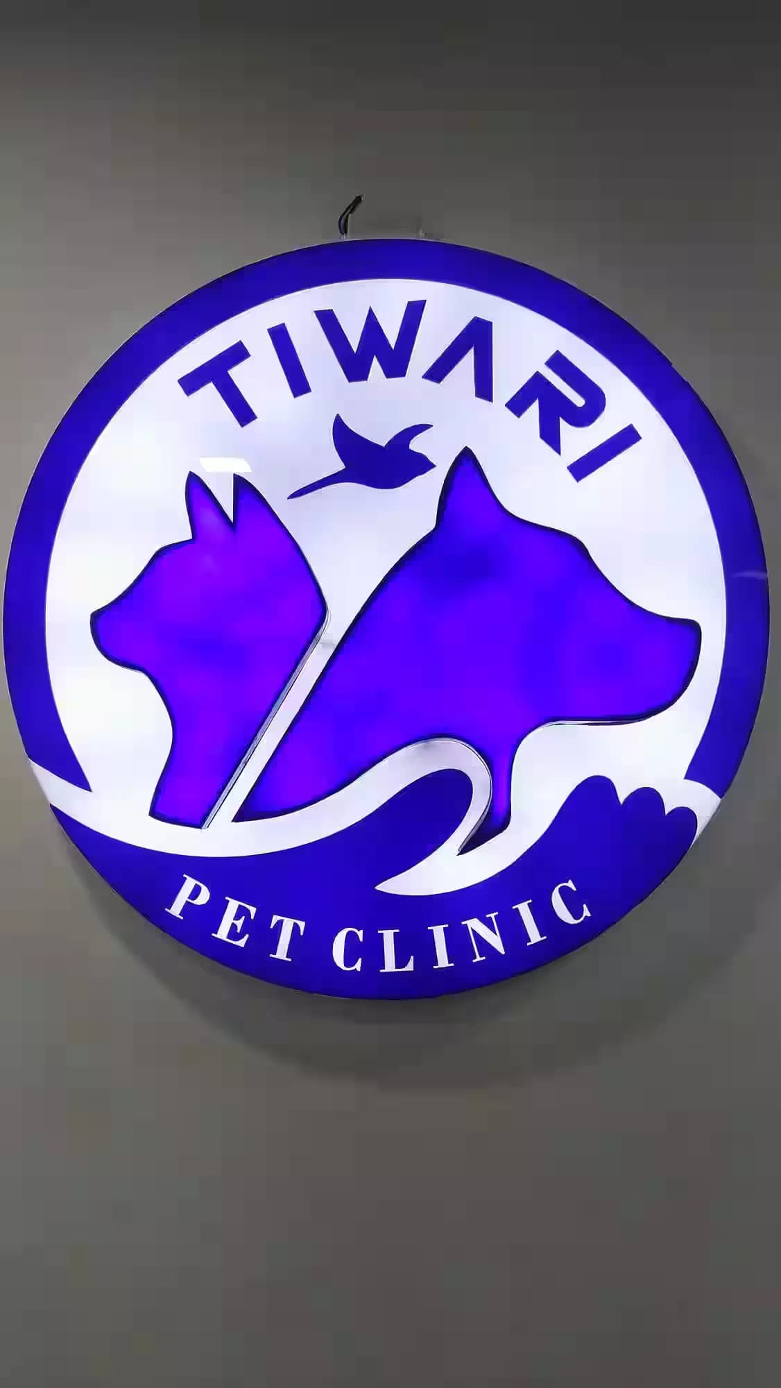 Dr Tiwari Pet Clinic