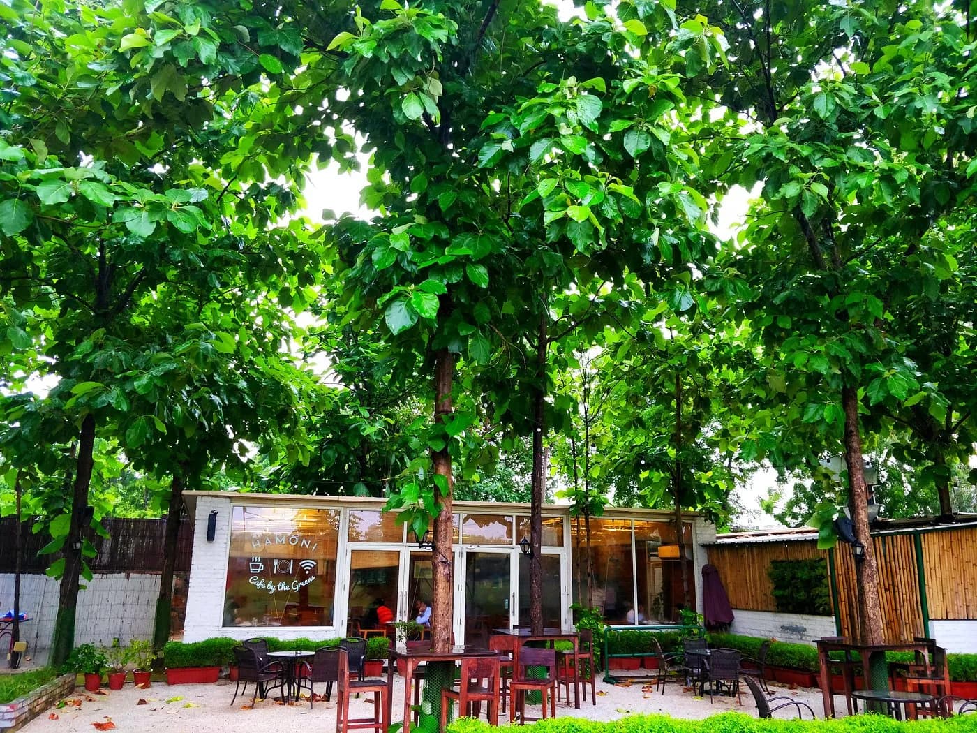 Hamoni Cafe