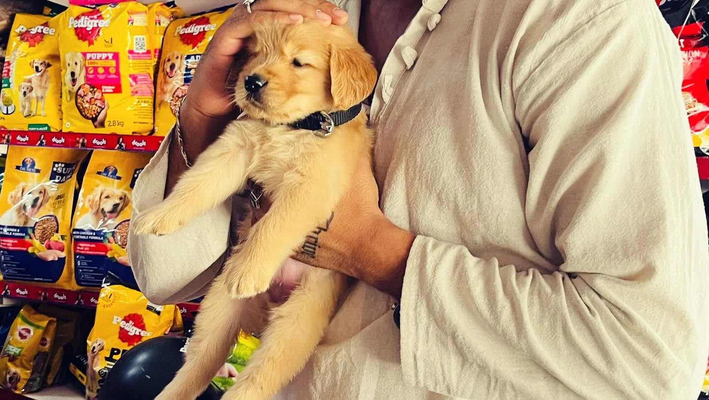 Jodhpur Pet Carnival