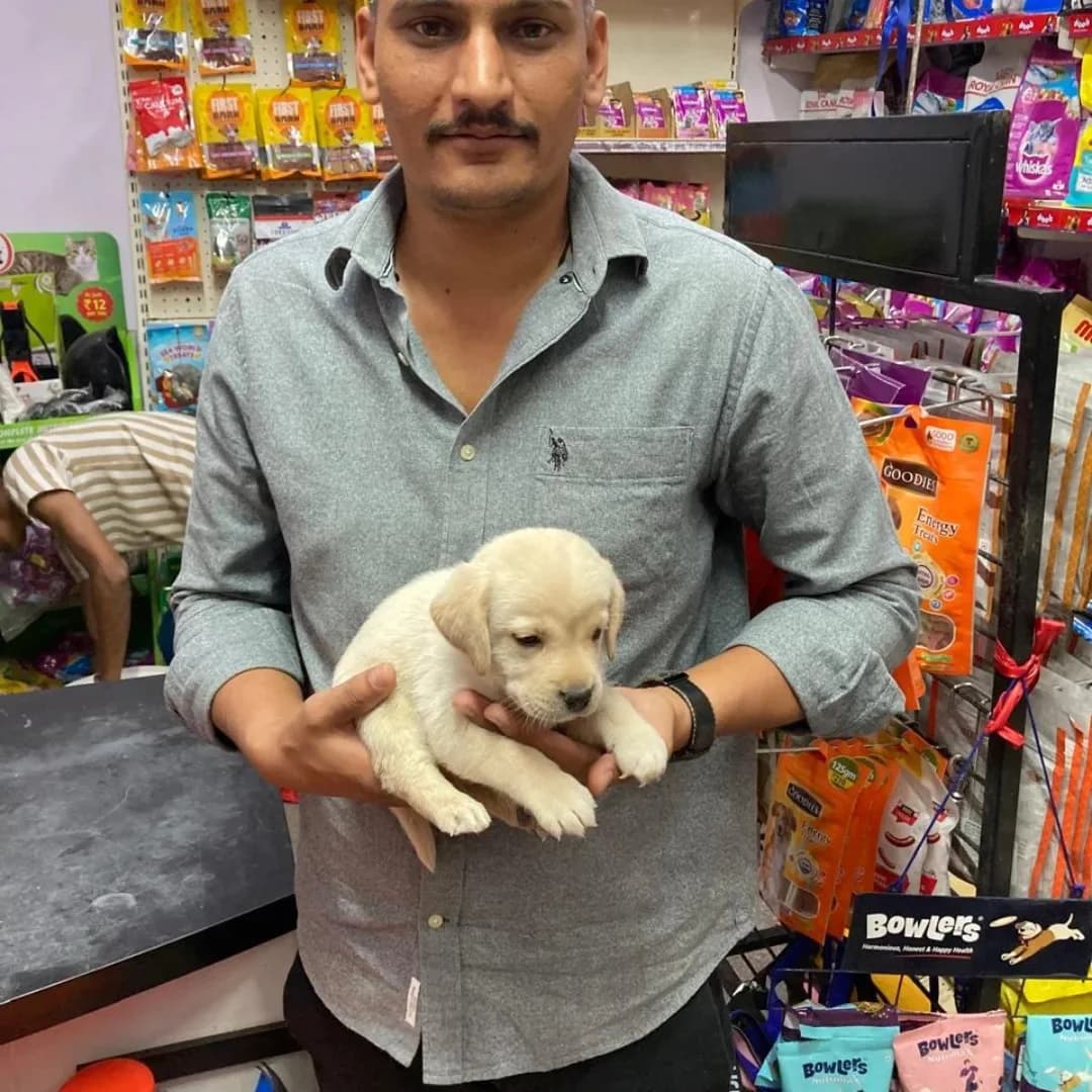 Jodhpur Pet Carnival
