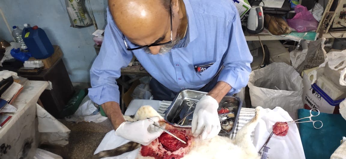 Dr. Bijoor Karuna Veterinary Clinic