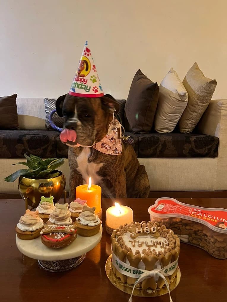 Doggy Dhaba