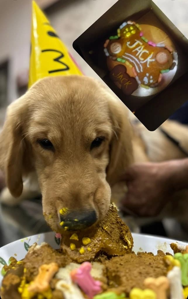 Doggy Dhaba