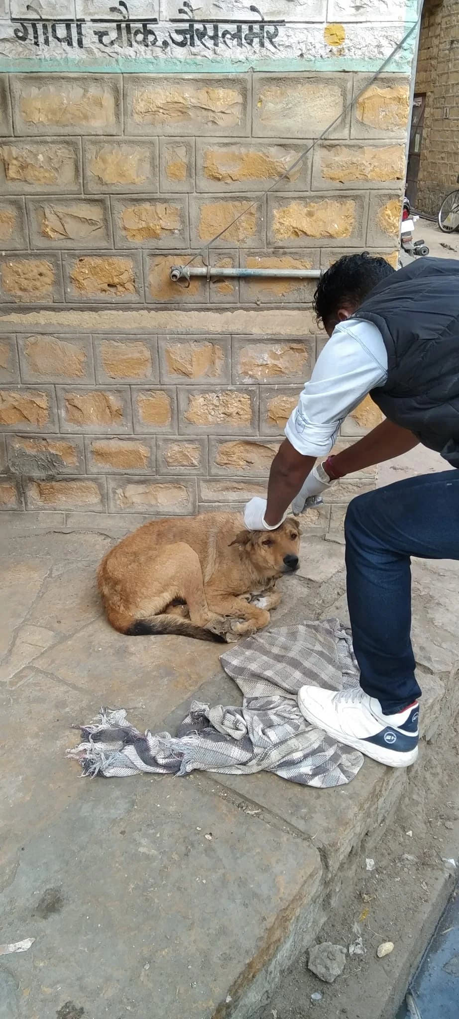 Prakriti animal welfare society