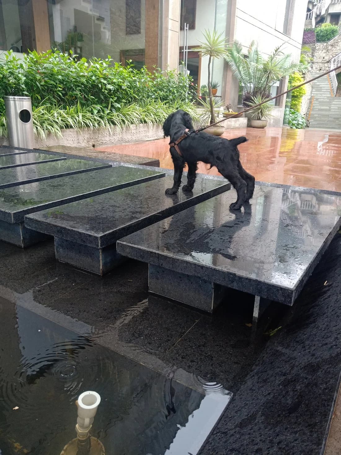 Hotel Aravali