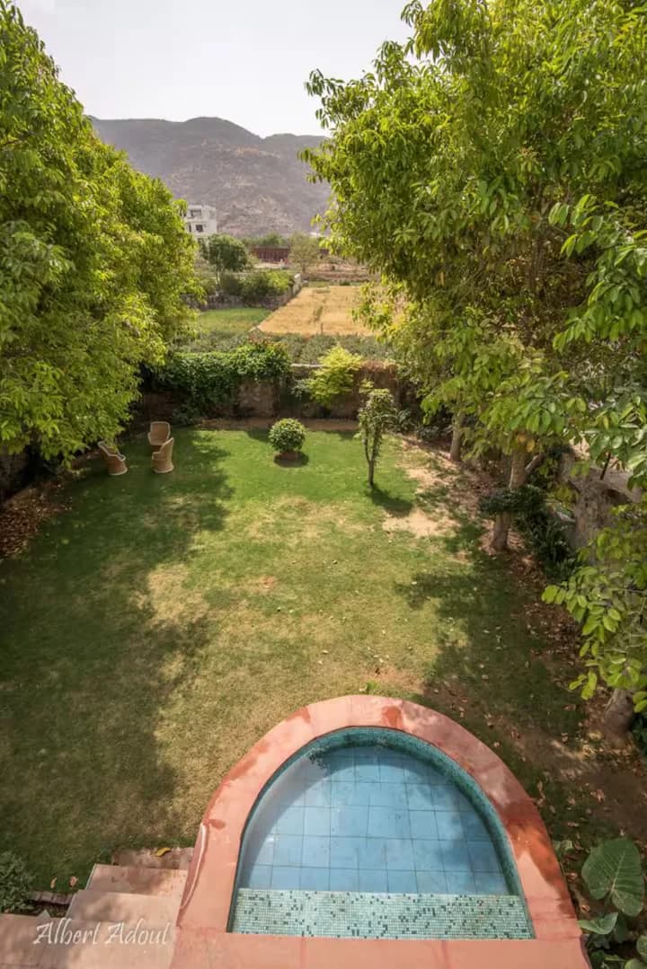 The Hive pushkar