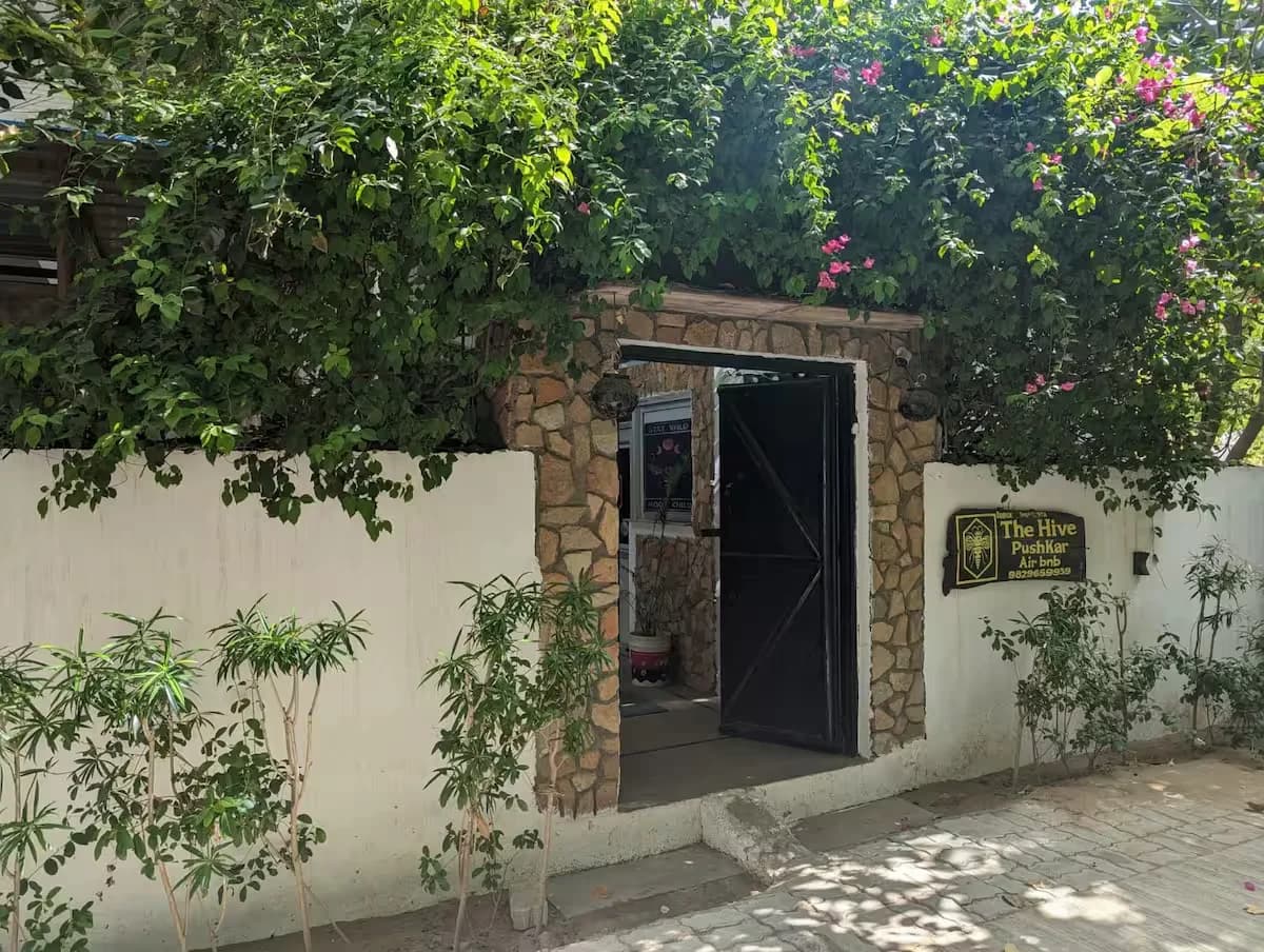 The Hive pushkar