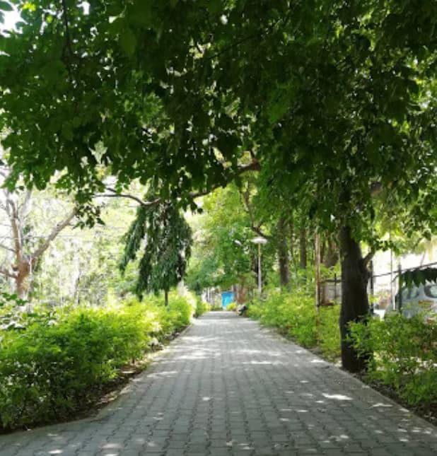 Kasal Shreenivas Shetty Park