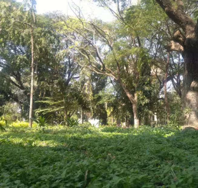 Kasal Shreenivas Shetty Park