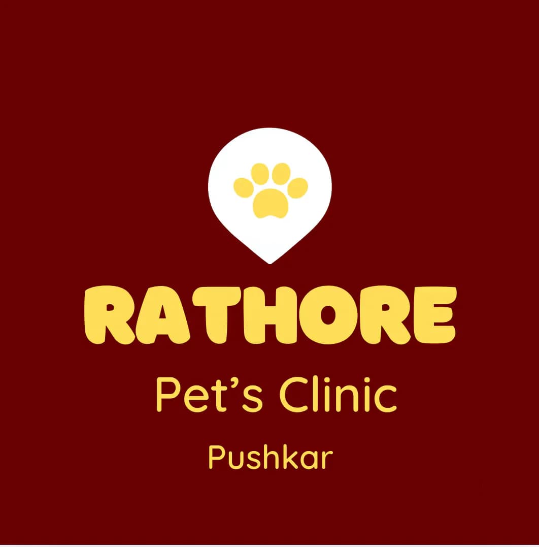 Rathore pet’s clinic