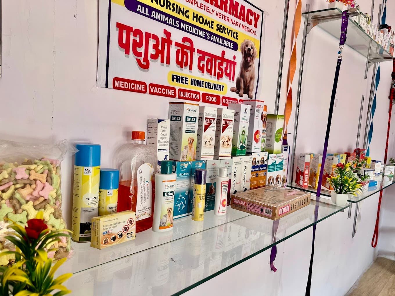 Rathore pet’s clinic