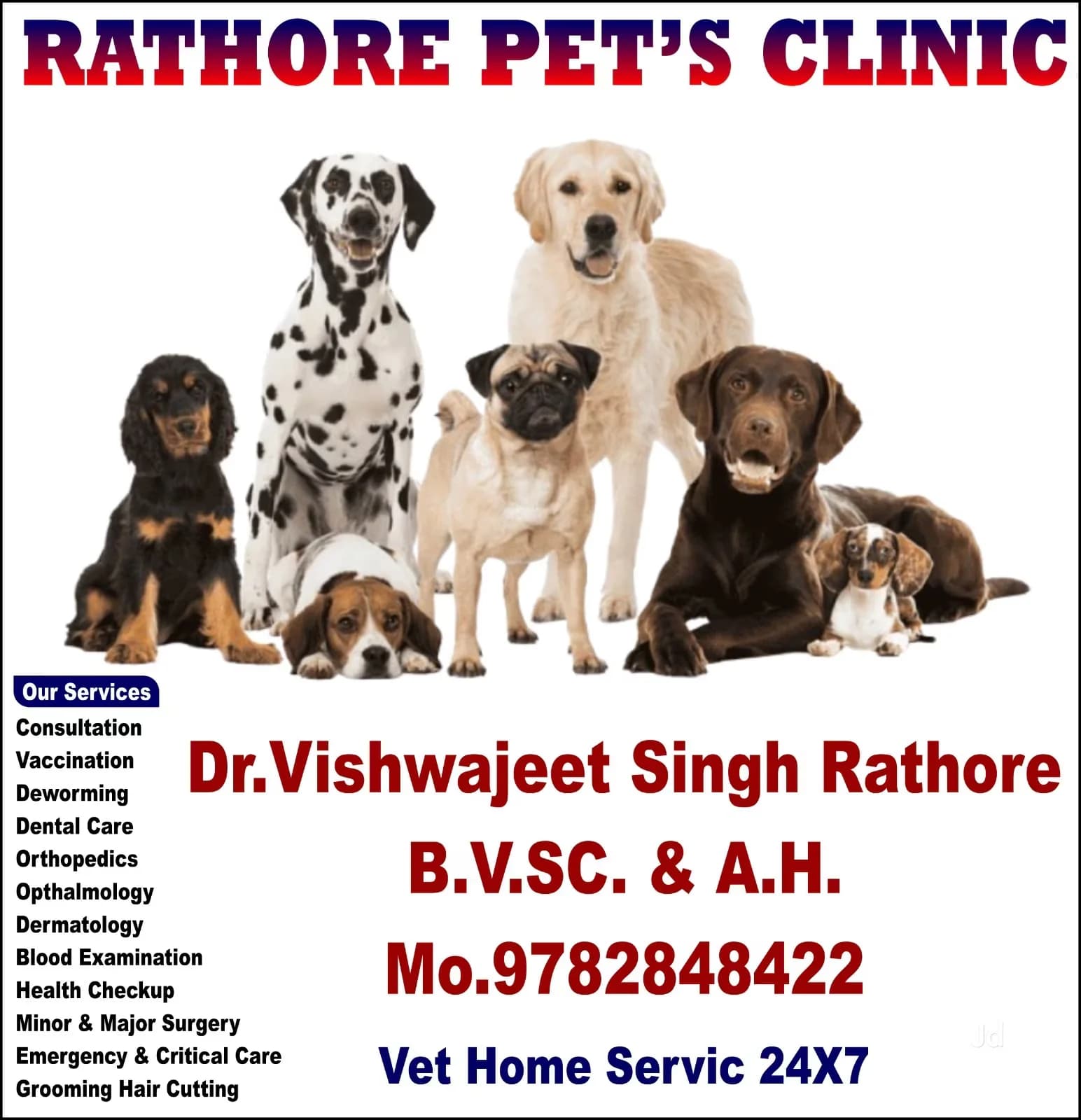 Rathore pet’s clinic