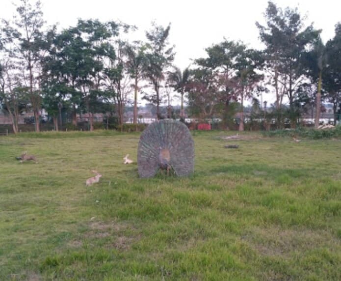 Branthesh Park
