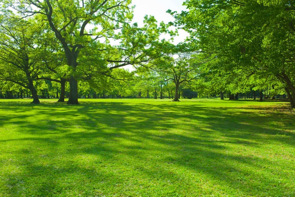 Sanskar Garden