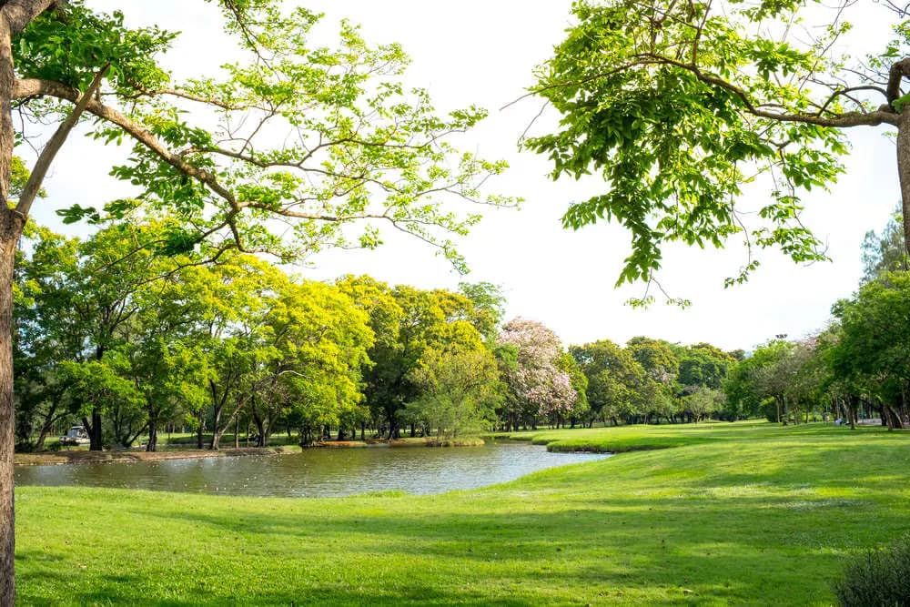 Sanskar Garden
