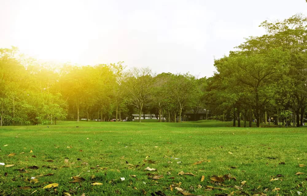 Sanskar Garden