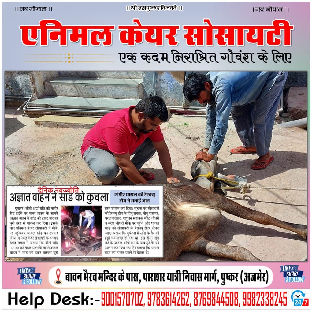 Animal care society