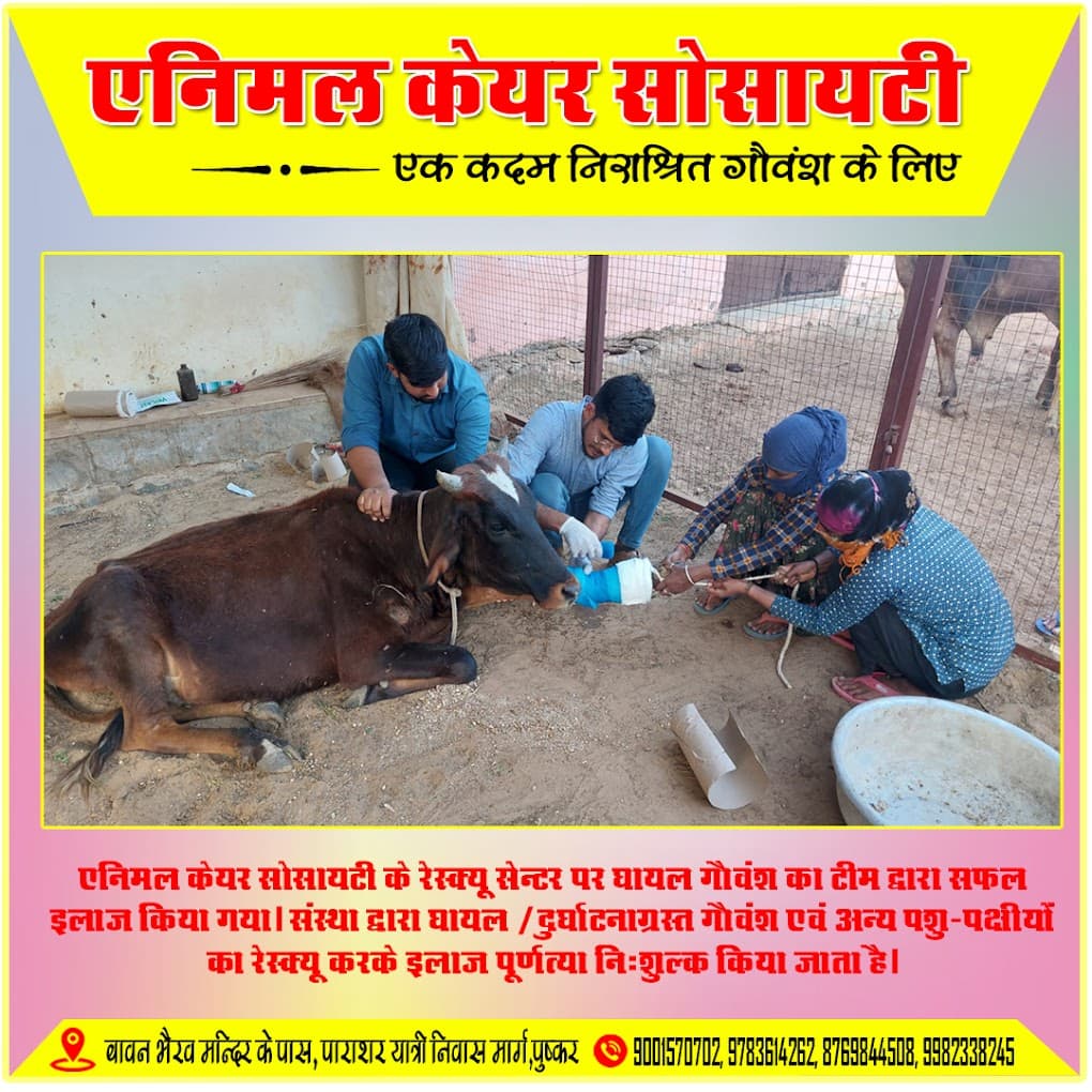 Animal care society