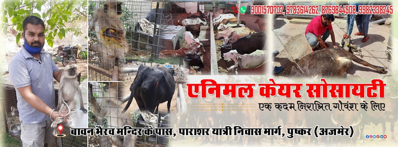 Animal care society