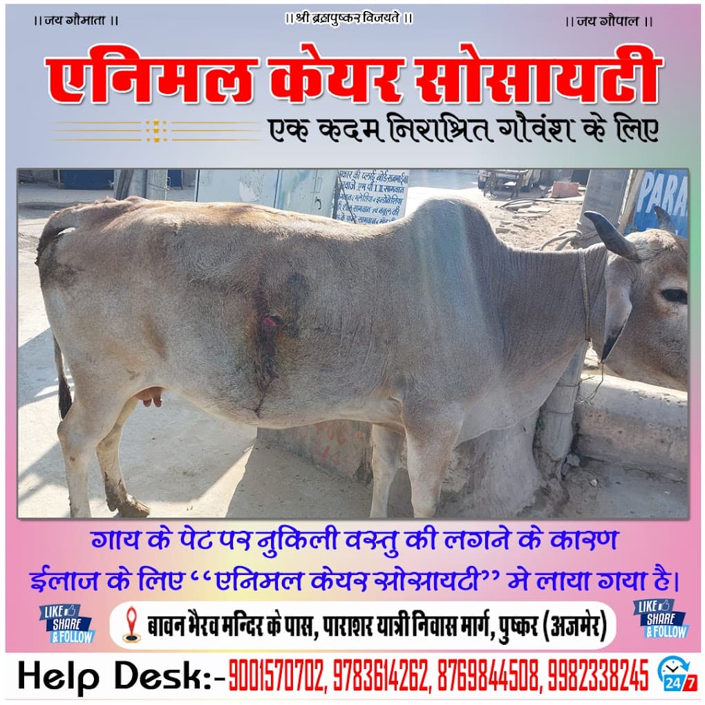 Animal care society