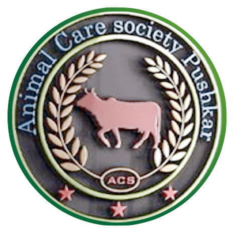 Animal care society