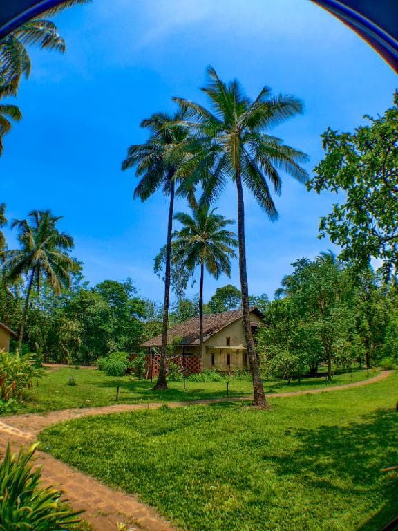 The Orchard Resort