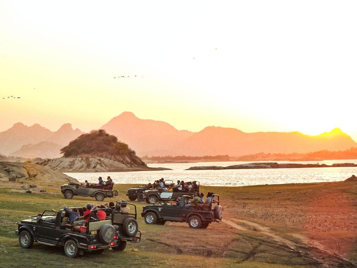 Jawai Leopard Villa