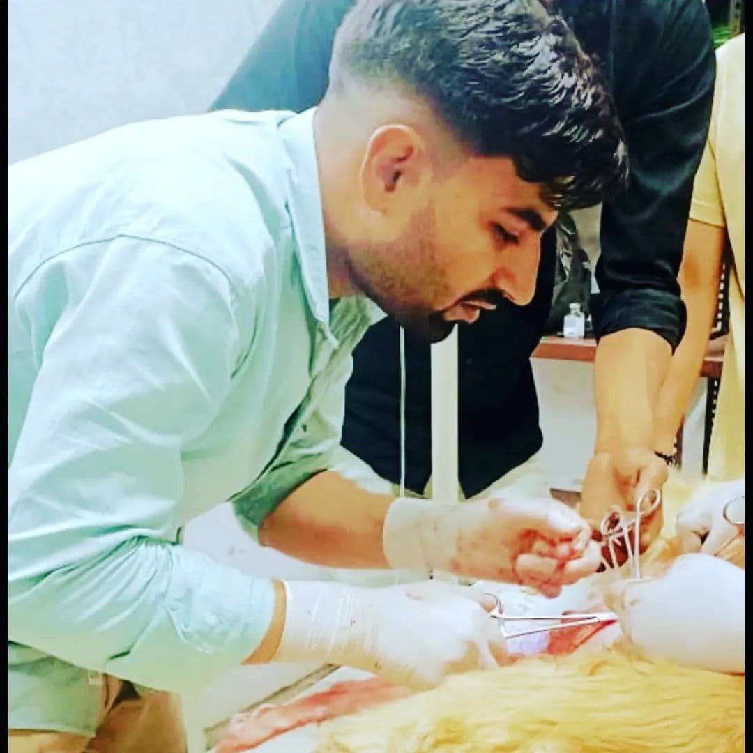 Dr Sharma pet Clinic