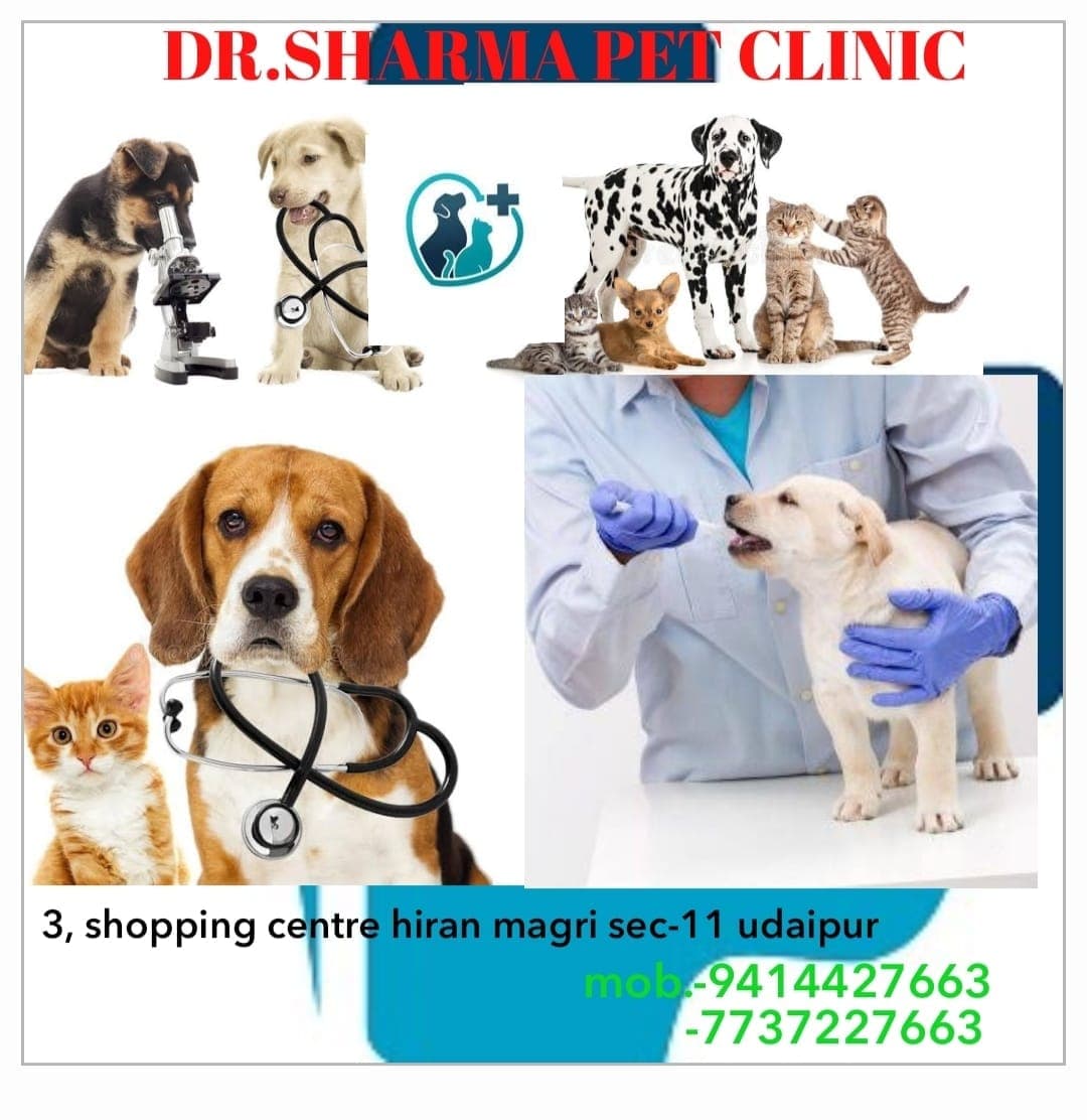Dr Sharma pet Clinic