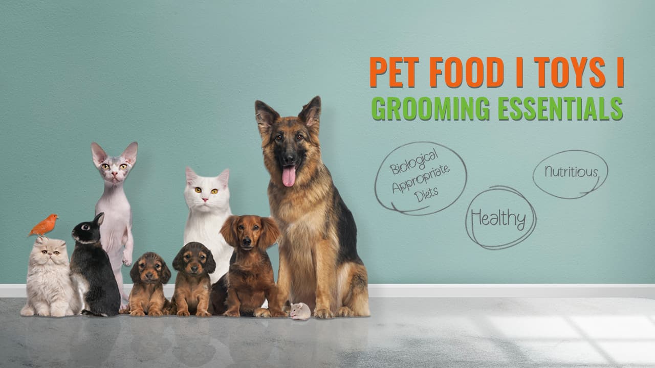 Udaipur Pet Shop