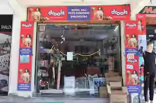 Royal Raj Pets Kingdom