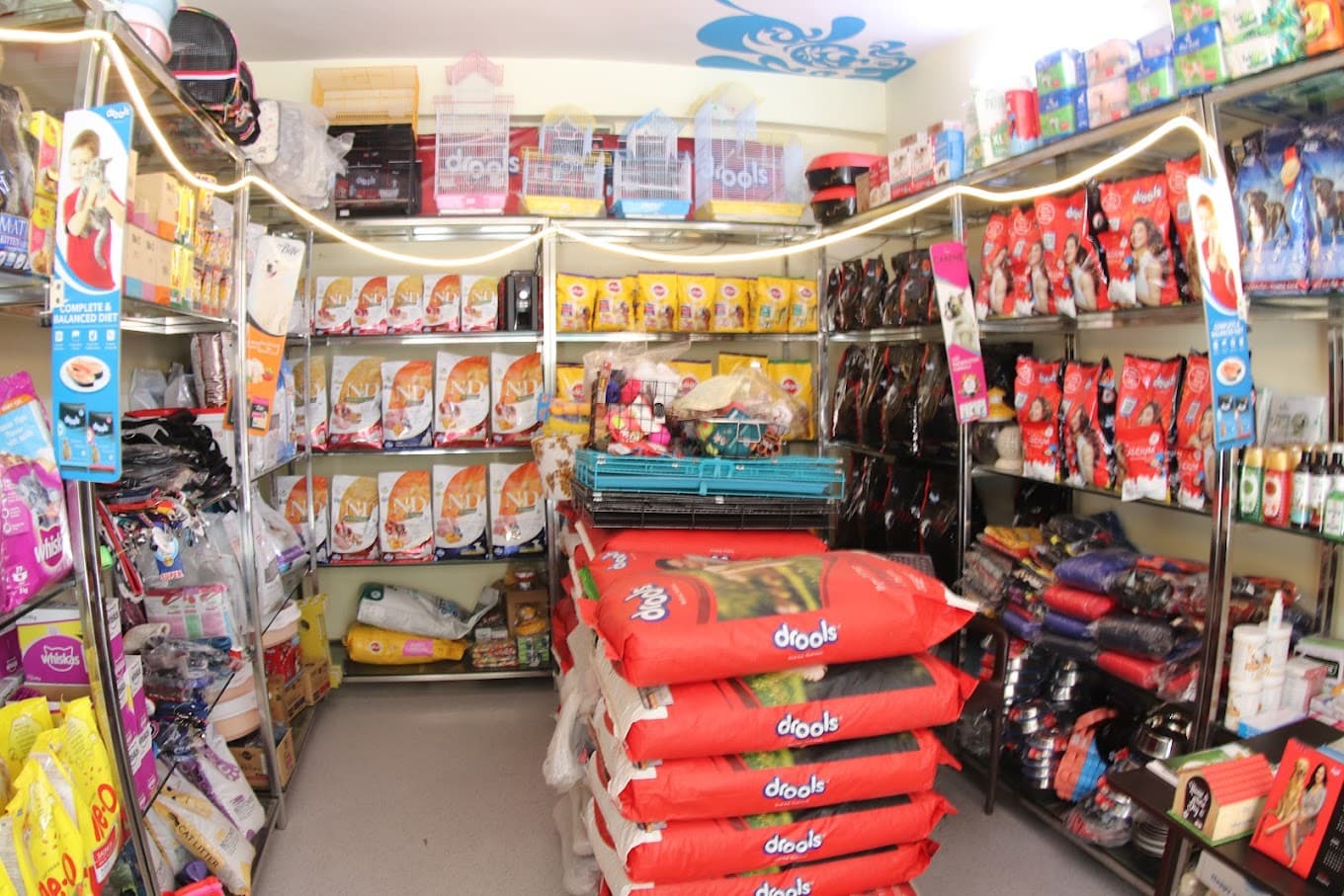 Royal Raj Pets Kingdom
