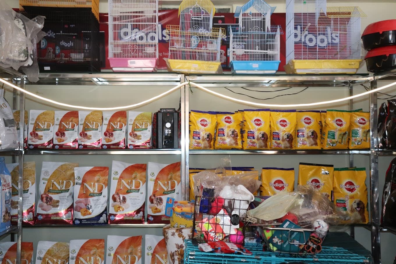 Royal Raj Pets Kingdom