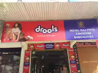 Royal Raj Pets Kingdom