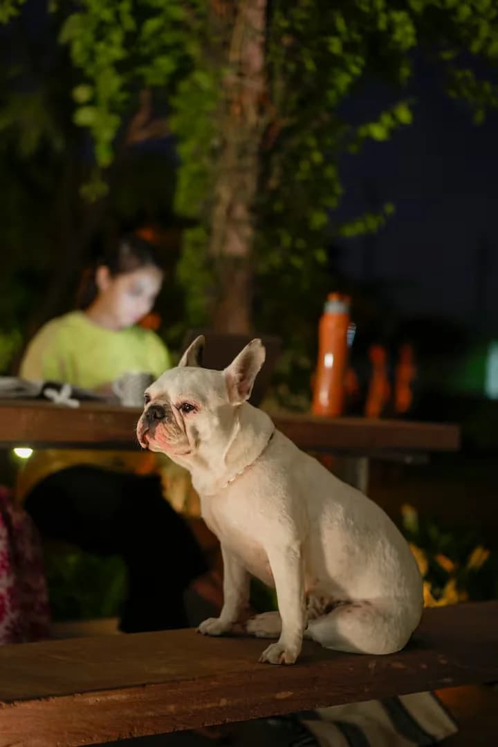 Exotic Balinese style Farm stay