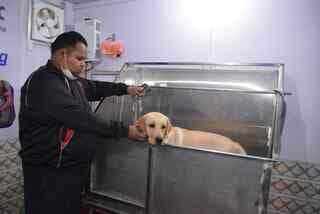 Sk Pet Clinic