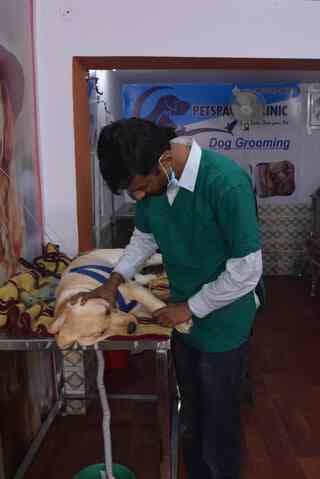 Sk Pet Clinic