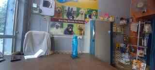 Sk Pet Clinic