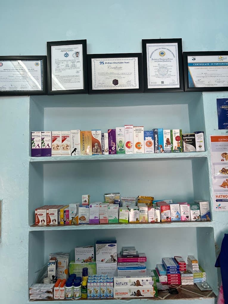 PET'S ON ANIMAL HOSPITAL