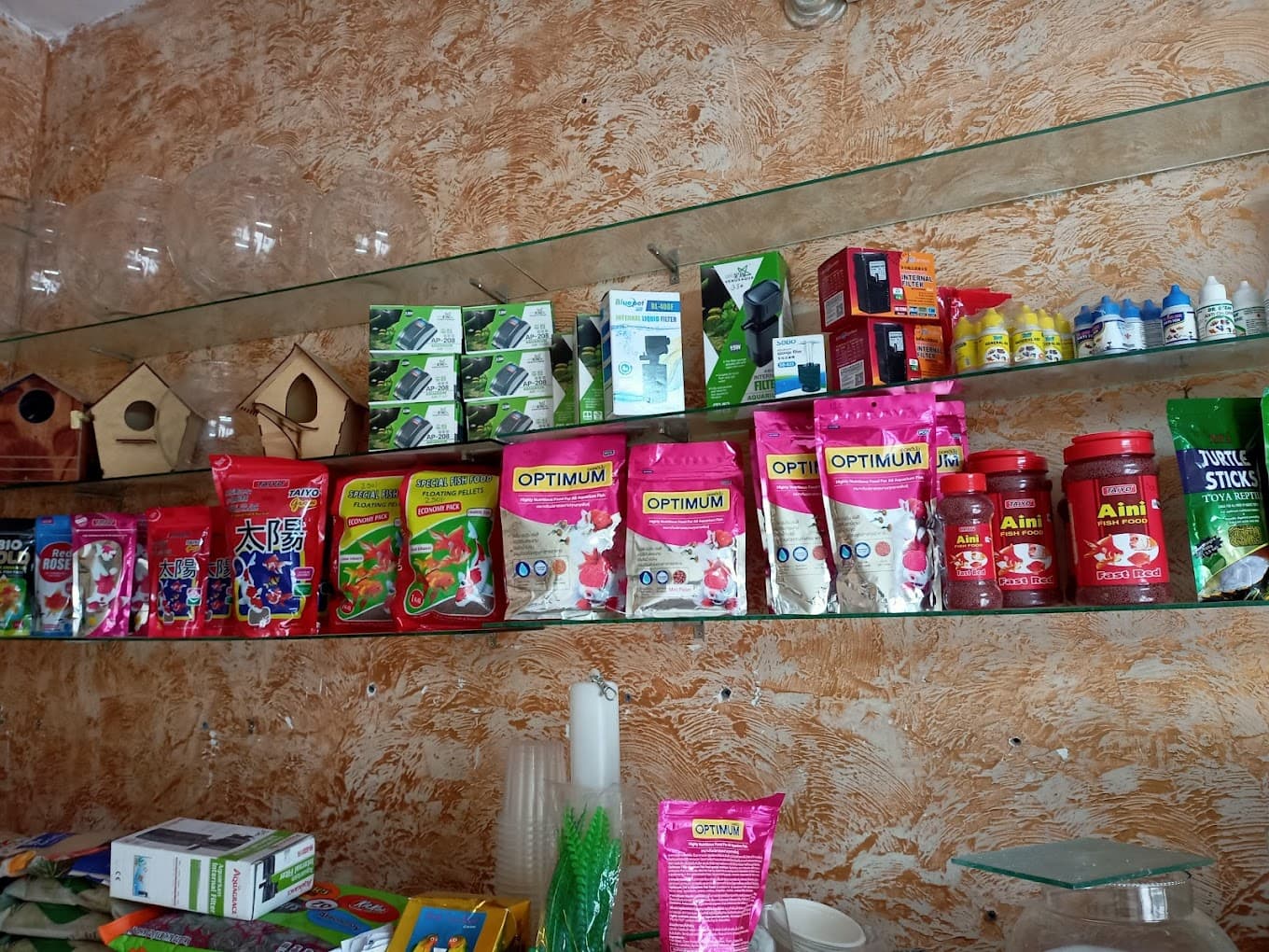 THE PET WORLD