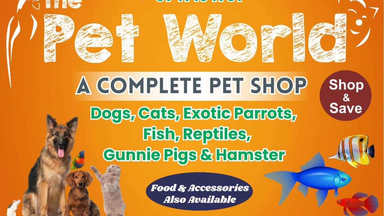 THE PET WORLD
