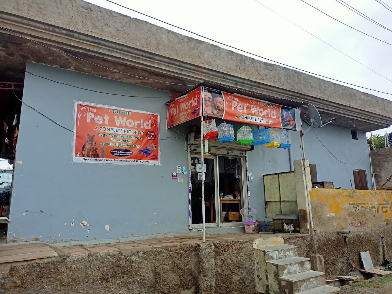 THE PET WORLD