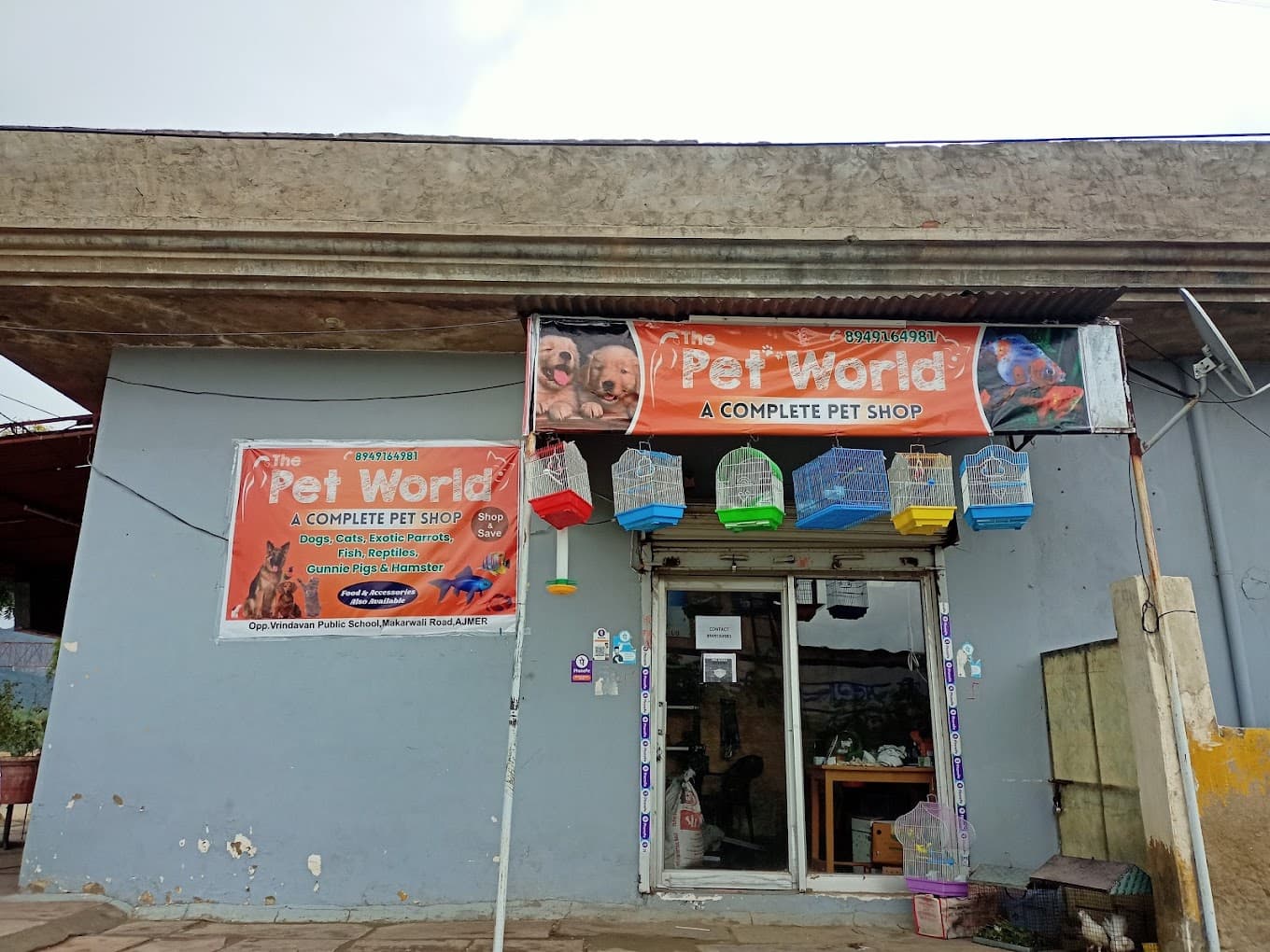 THE PET WORLD